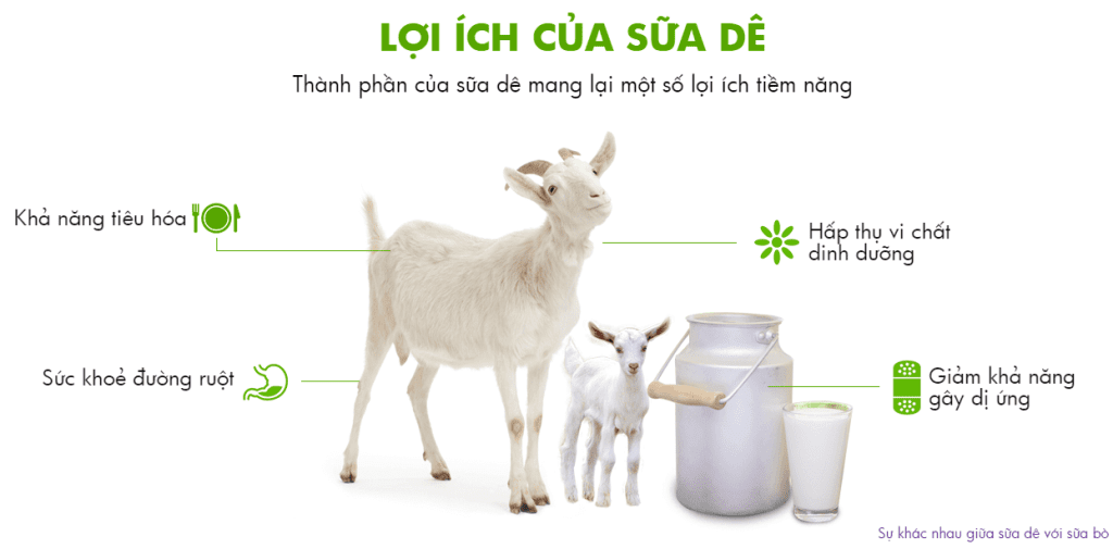 Thùng Sữa Dê Kabrita số 2 - lợi ích của sữa dê - www.alobogo.com