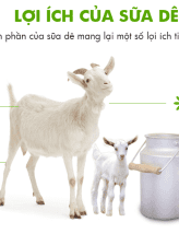 Sữa dê Kabrita - www.alobogo.com - hàng chính hãng giá rẻ nhất